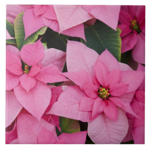 USA, Washington, Woodinville, Molbak's Nursery, 3 Tile