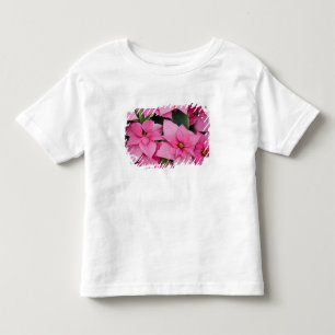 USA, Washington, Woodinville, Molbak's Nursery, 3 Toddler T-Shirt
