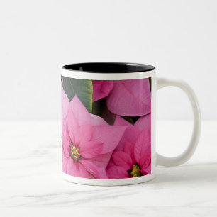 USA, Washington, Woodinville, Molbak's Nursery, 3 Two-Tone Coffee Mug