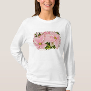USA, Washington, Woodinville, Molbak's Nursery, 4 T-Shirt