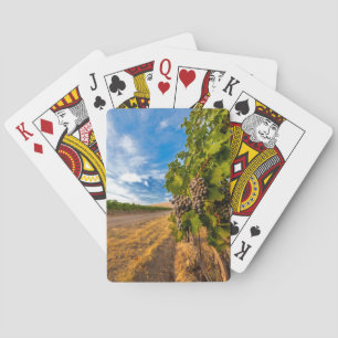 USA, Washington, Yakima Valley. Merlot Grapes Playing Cards