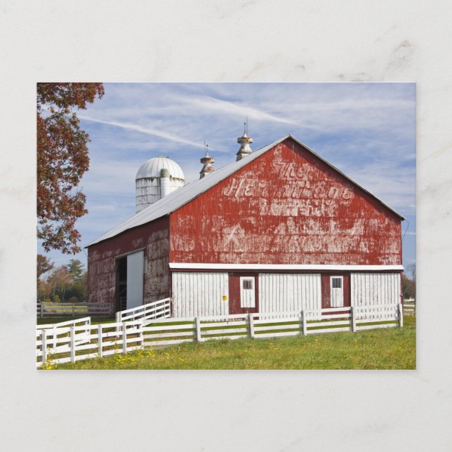 USA, West Virginia, Arbovale. Monongahela Postcard (Front)