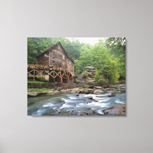 USA, West Virginia, Babcock SP. Rustic Glade Canvas Print