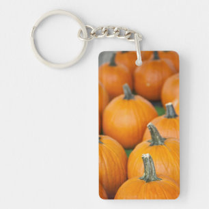 USA, West Virginia, Charleston. Capitol 2 Key Ring