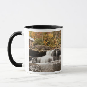 USA, West Virginia, Clifftop. Babcock State Mug