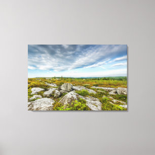 USA, West Virginia, Davis. Landscape In Dolly Canvas Print