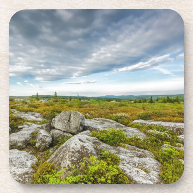 USA, West Virginia, Davis. Landscape In Dolly Coaster (Front)