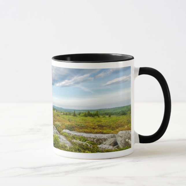 USA, West Virginia, Davis. Landscape In Dolly Mug (Right)