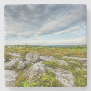 USA, West Virginia, Davis. Landscape In Dolly Stone Coaster