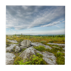 USA, West Virginia, Davis. Landscape In Dolly Tile