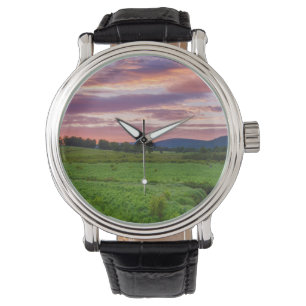 USA, West Virginia, Davis. Landscape Watch