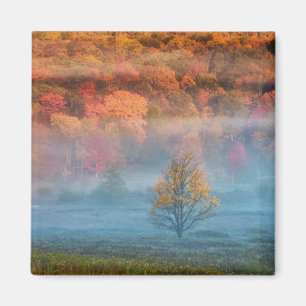 USA, West Virginia, Davis. Misty valley and Magnet
