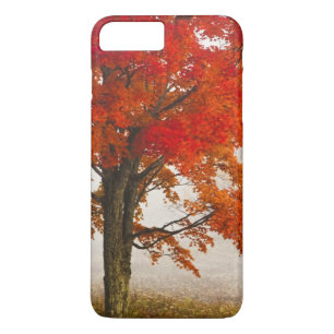 USA, West Virginia, Davis. Red maple in autumn iPhone 8 Plus/7 Plus Case