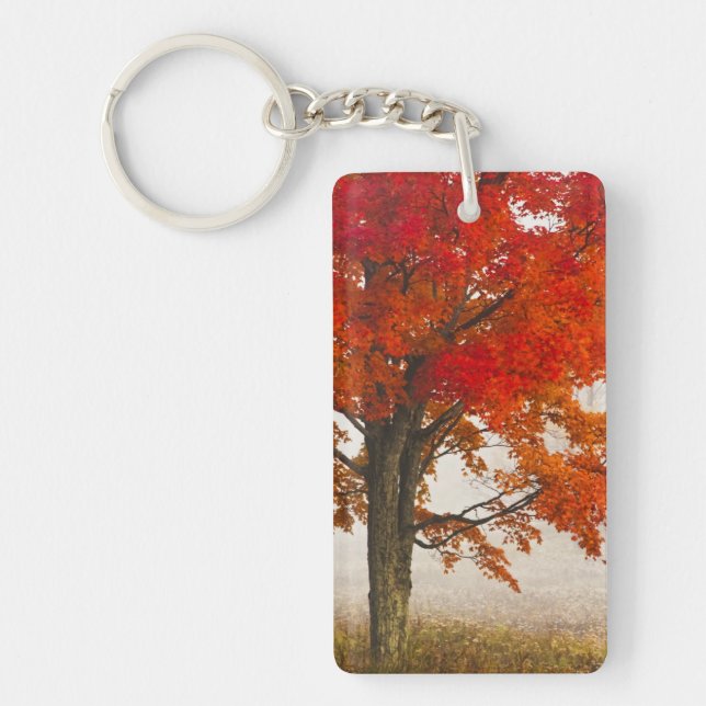 USA, West Virginia, Davis. Red maple in autumn Key Ring (Front)