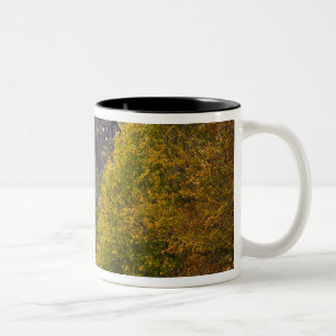 USA, West Virginia, Fayetteville. New River Two-Tone Coffee Mug