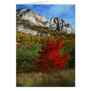 USA, West Virginia, Spruce Knob-Seneca Rocks