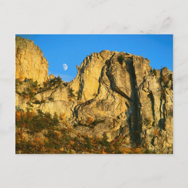 USA, West Virginia, Spruce Knob-Seneca Rocks 2 Postcard (Front)