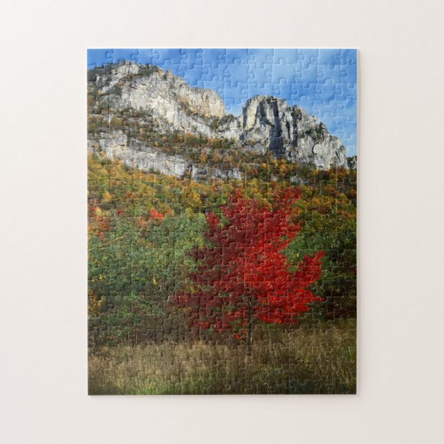 USA, West Virginia, Spruce Knob-Seneca Rocks Jigsaw Puzzle (Vertical)