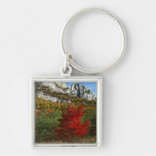 USA, West Virginia, Spruce Knob-Seneca Rocks Key Ring