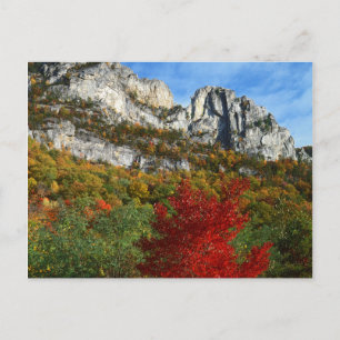 USA, West Virginia, Spruce Knob-Seneca Rocks Postcard