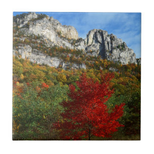 USA, West Virginia, Spruce Knob-Seneca Rocks Tile