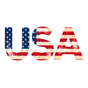 USA with US Flag T-Shirt