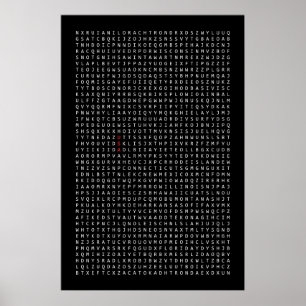 USA word search Poster