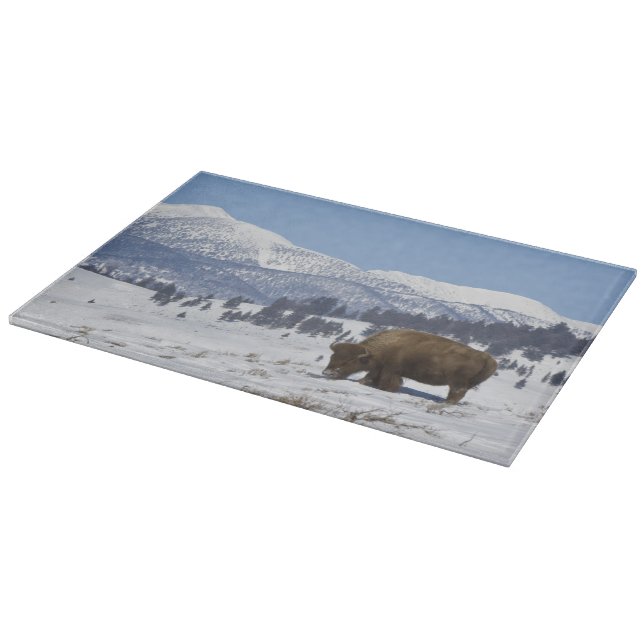 USA, WY, Yellowstone NP, American Bison Bison Cutting Board (Corner)