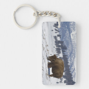 USA, WY, Yellowstone NP, American Bison Bison Key Ring