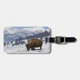 USA, WY, Yellowstone NP, American Bison Bison Luggage Tag