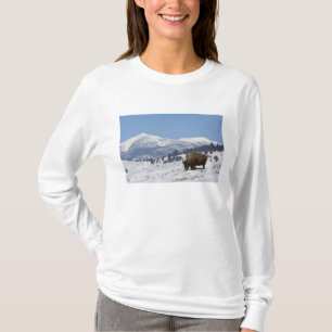 USA, WY, Yellowstone NP, American Bison Bison T-Shirt