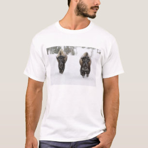 USA, WY, Yellowstone NP, American Bison (Bison T-Shirt