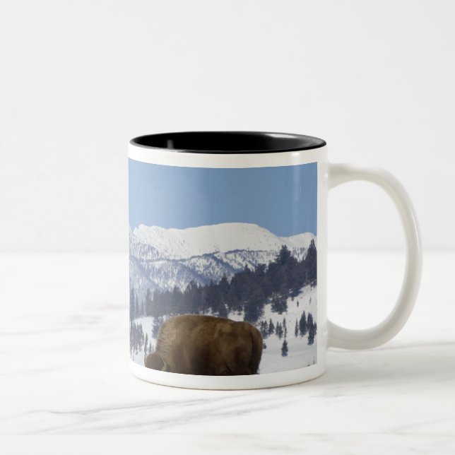 USA, WY, Yellowstone NP, American Bison Bison Two-Tone Coffee Mug (Right)