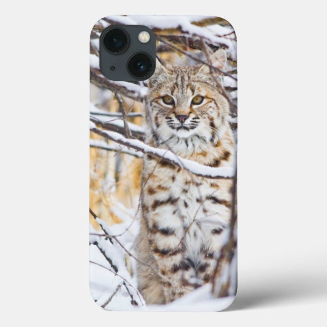 USA, Wyoming, Bobcat Case-Mate iPhone Case (Back)