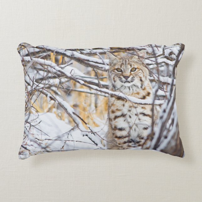 USA, Wyoming, Bobcat Decorative Cushion (Front)