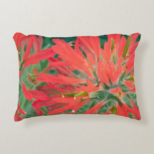 USA, Wyoming, Close-up of Desert Paintbrush Decorative Cushion