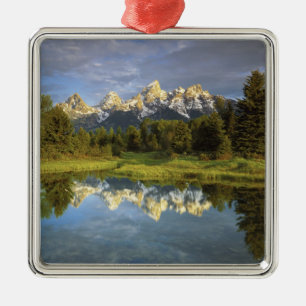 USA, Wyoming, Grand Teton National Park. Grand 2 Metal Tree Decoration
