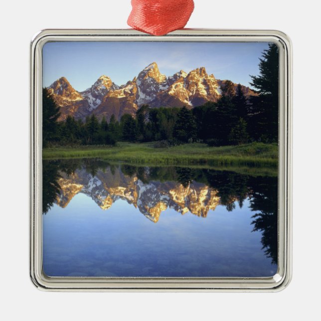 USA, Wyoming, Grand Teton National Park. Grand Metal Tree Decoration (Front)