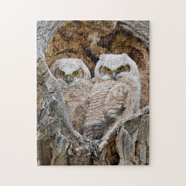 USA, Wyoming, Grand Teton National Park Jigsaw Puzzle (Vertical)