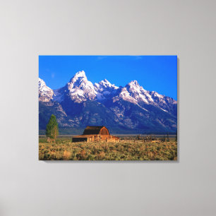 USA, Wyoming, Grand Teton National Park, Morning Canvas Print