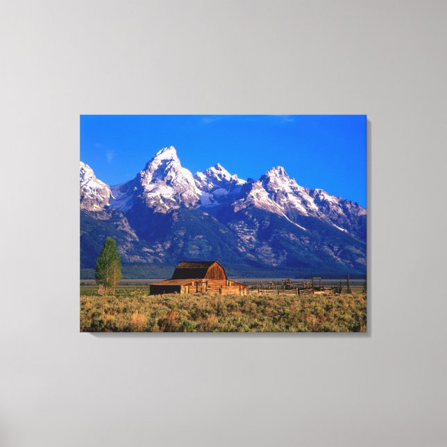 USA, Wyoming, Grand Teton National Park, Morning Canvas Print (Front)
