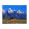 USA, Wyoming, Grand Teton National Park, Morning
