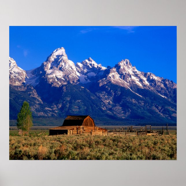 USA, Wyoming, Grand Teton National Park, Morning Poster (Front)