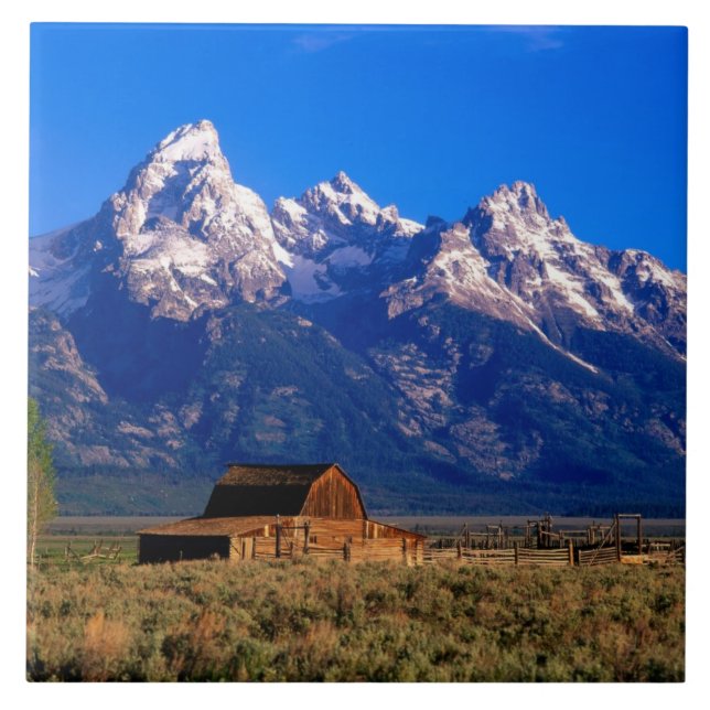 USA, Wyoming, Grand Teton National Park, Morning Tile (Front)
