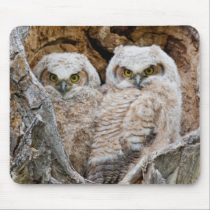 USA, Wyoming, Grand Teton National Park Mouse Mat