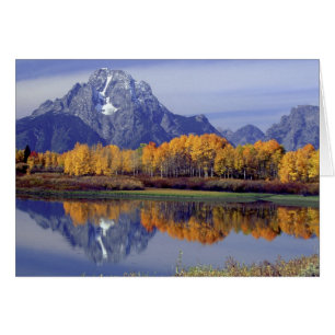 USA, Wyoming, Grand Teton National Park. Mt.