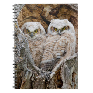 USA, Wyoming, Grand Teton National Park Notebook