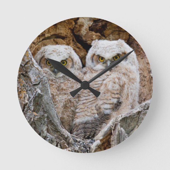 USA, Wyoming, Grand Teton National Park Round Clock (Front)