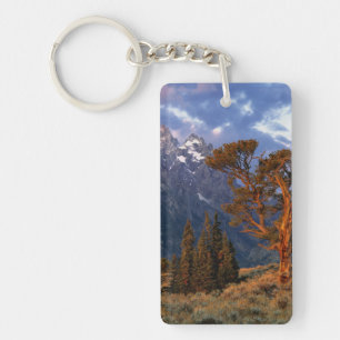 USA, Wyoming, Grand Teton NP. A lone cedar Key Ring