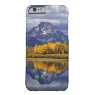 USA, Wyoming, Grand Teton NP. Against the Barely There iPhone 6 Case